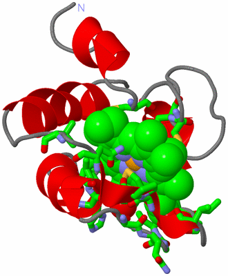 Image NMR Structure - model 1, sites