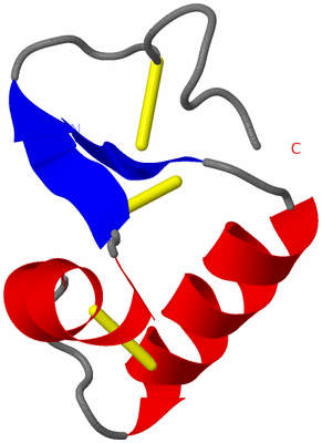 Image NMR Structure - model 1