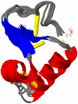 Image NMR Structure - all models
