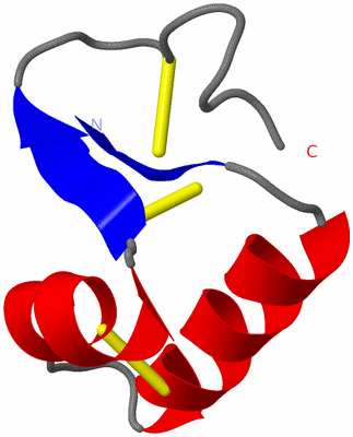 Image NMR Structure - model 1