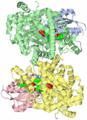 Image Asym./Biol. Unit