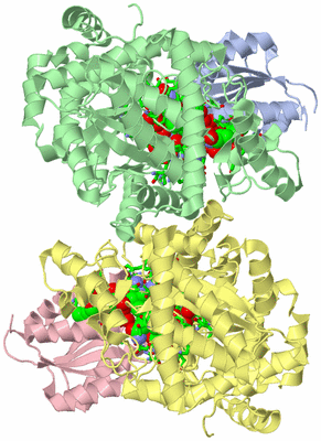 Image Asym./Biol. Unit - sites