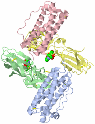 Image Asym./Biol. Unit