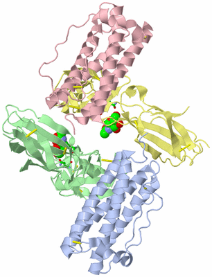 Image Asym./Biol. Unit - sites