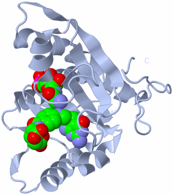 Image Biological Unit 1