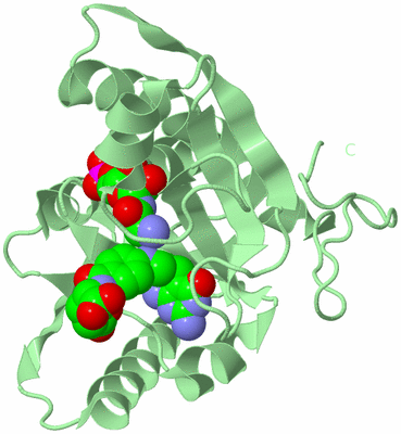 Image Biological Unit 2