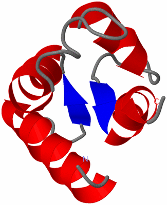 Image NMR Structure - model 1