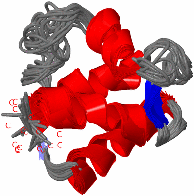 Image NMR Structure - all models