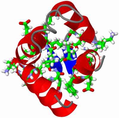 Image NMR Structure - model 1, sites