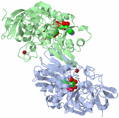 Image Asym./Biol. Unit