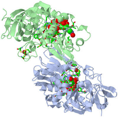 Image Asym./Biol. Unit - sites