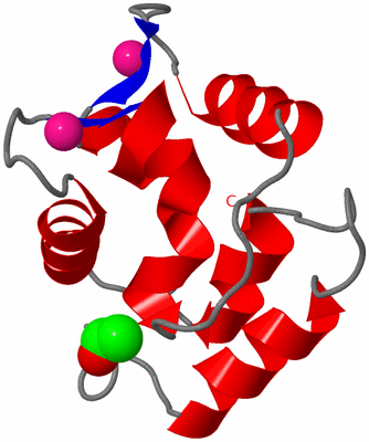 Image Asymmetric Unit
