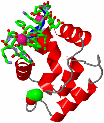 Image Asym. Unit - sites