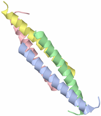 Image Asymmetric Unit