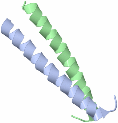 Image Biological Unit 3