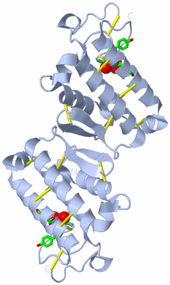 Image Biol. Unit 1 - sites