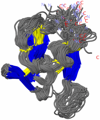 Image NMR Structure - all models