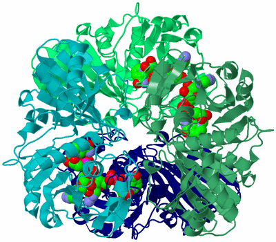 Image Biological Unit 1