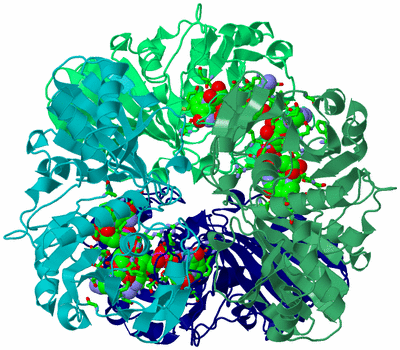 Image Biol. Unit 1 - sites