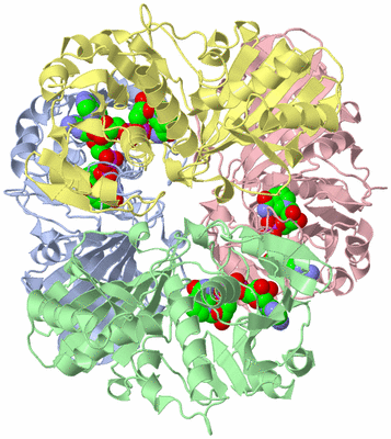 Image Biological Unit 2