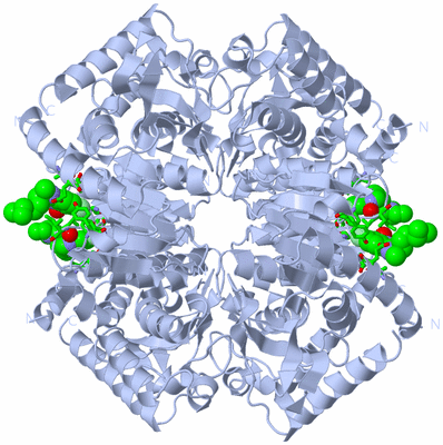 Image Biol. Unit 1 - sites