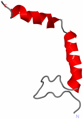 Image NMR Structure - model 1