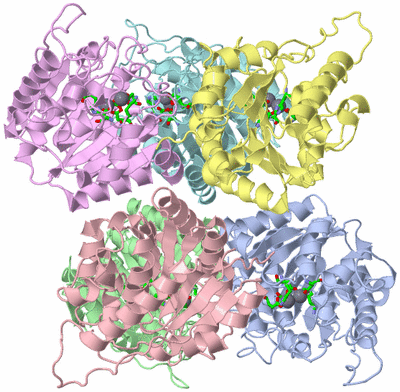 Image Biol. Unit 1 - sites