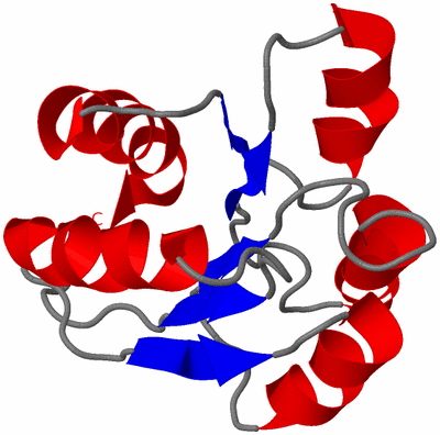 Image NMR Structure - model 1