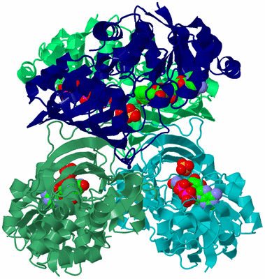 Image Asym./Biol. Unit