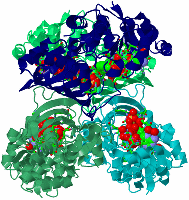 Image Asym./Biol. Unit - sites