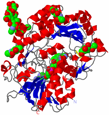 Image Asym./Biol. Unit