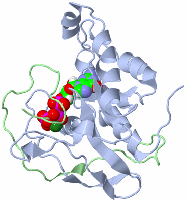 Image NMR Structure - model 1