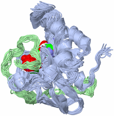 Image NMR Structure - all models