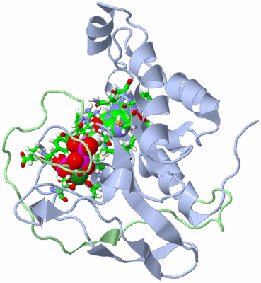 Image NMR Structure - model 1, sites