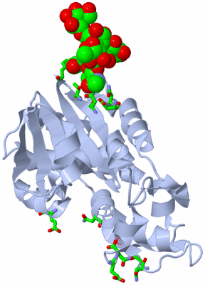 Image Biol. Unit 1 - sites