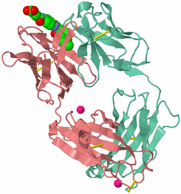 Image Biological Unit 1