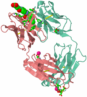 Image Biol. Unit 1 - sites