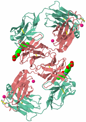 Image Biological Unit 2