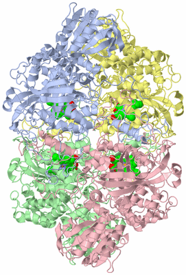 Image Asym./Biol. Unit