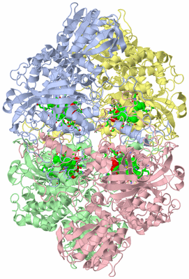 Image Asym./Biol. Unit - sites