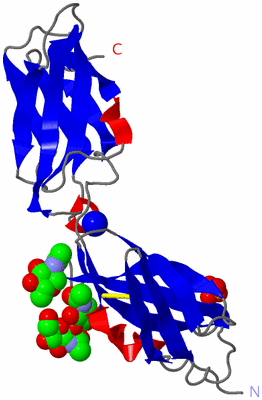 Image Asymmetric Unit