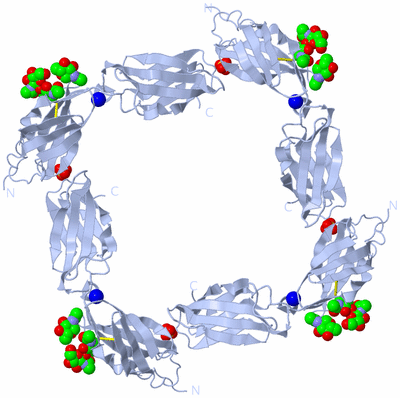 Image Biological Unit 2