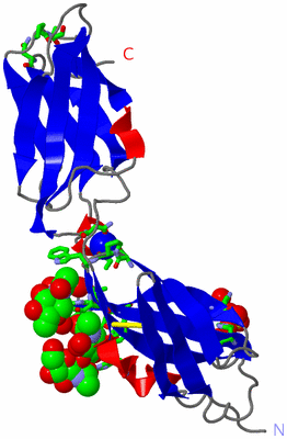 Image Asym. Unit - sites