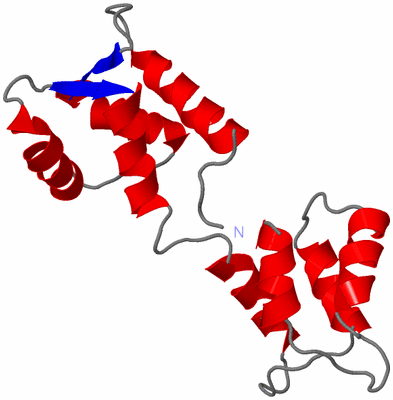 Image NMR Structure - model 1