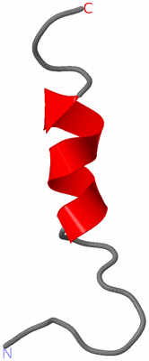 Image NMR Structure - model 1