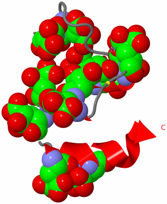 Image NMR Structure - model 1