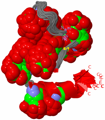 Image NMR Structure - all models