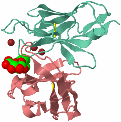 Image Biological Unit 1