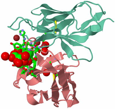 Image Biol. Unit 1 - sites