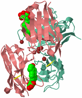 Image Biological Unit 2